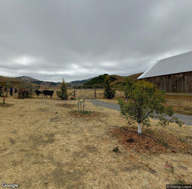 Chileno Valley Ranch in Petaluma, CA