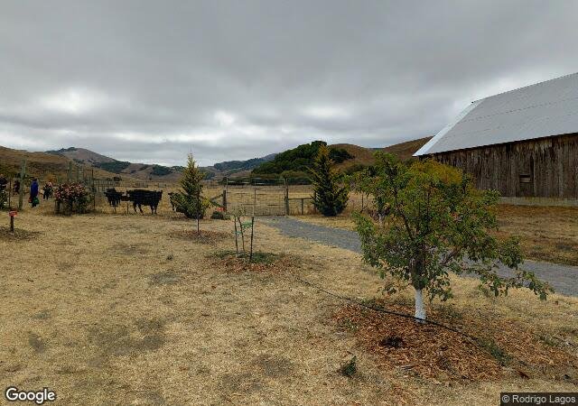 Chileno Valley Ranch in Petaluma, CA