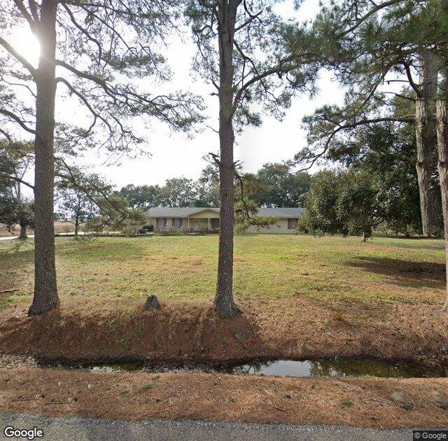 Eddie Romero's Orchard in New Iberia, LA
