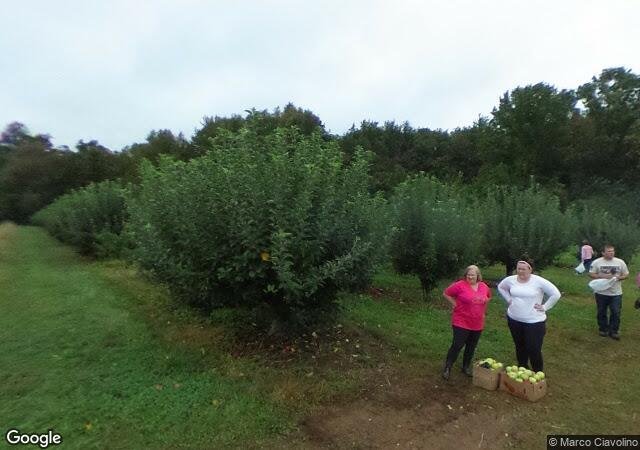 Lohr's Orchard in Churchville, MD