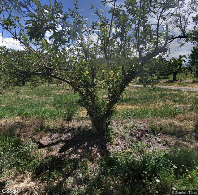 Nichols Ranch and Orchards in La Luz, NM