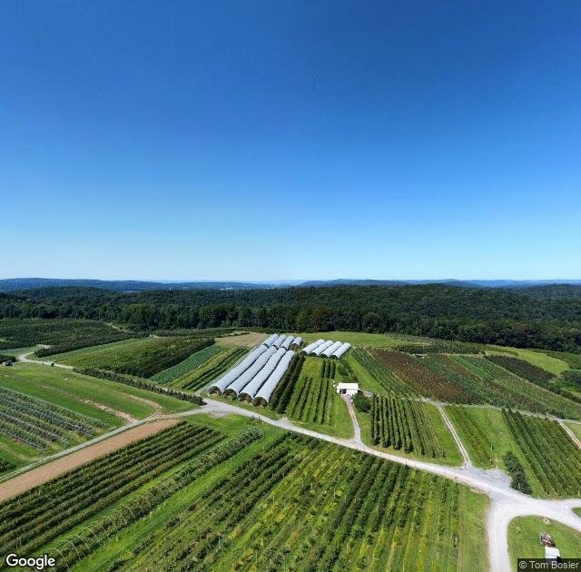 Weaver's Orchard in Morgantown, PA