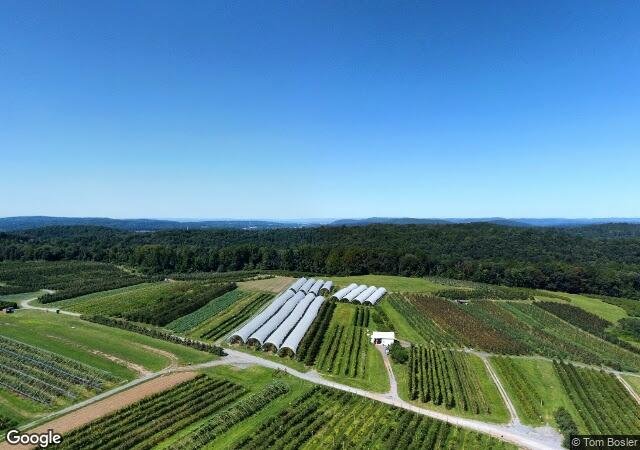 Weaver's Orchard in Morgantown, PA